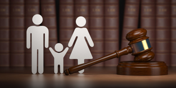 Child Law And Court Skills Children's Home